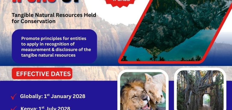 IPSASB Issues New Standard – Tangible Natural Resources Held for Conservation