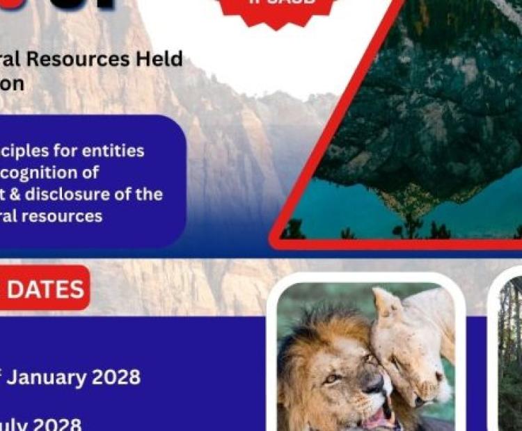 IPSASB Issues New Standard – Tangible Natural Resources Held for Conservation